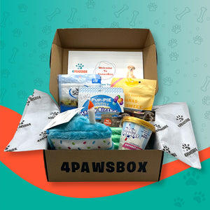 Birthday Box - 4Pawsbox