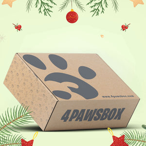 Christmas Box - 4Pawsbox