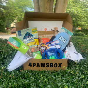 4PawsBox - Monthly Subscription