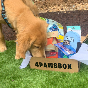 4PawsBox - Monthly Subscription
